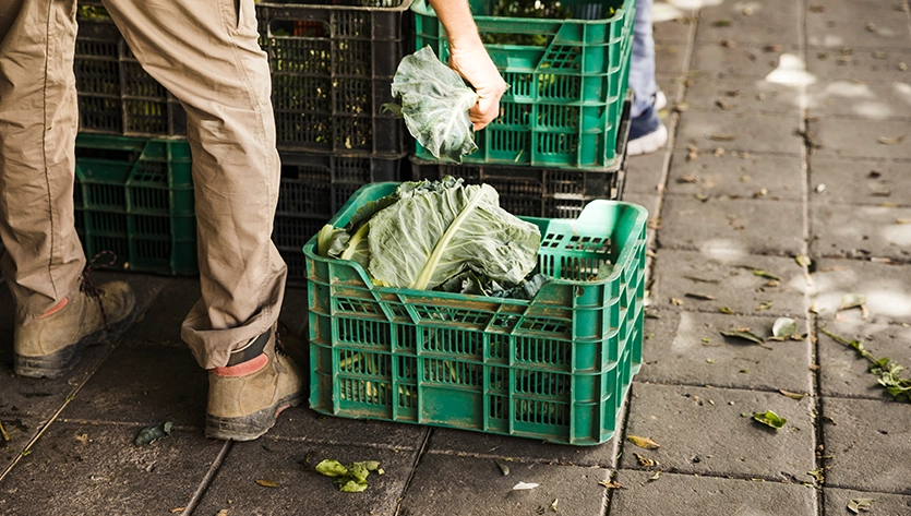School Food Waste Collection London